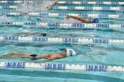 Swimming & Diving vs RWU  Swimming & Diving vs Roger Williams University. - Photo by Keith Nordstrom : Wheaton, Swimming